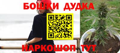 ешки Сланцы
