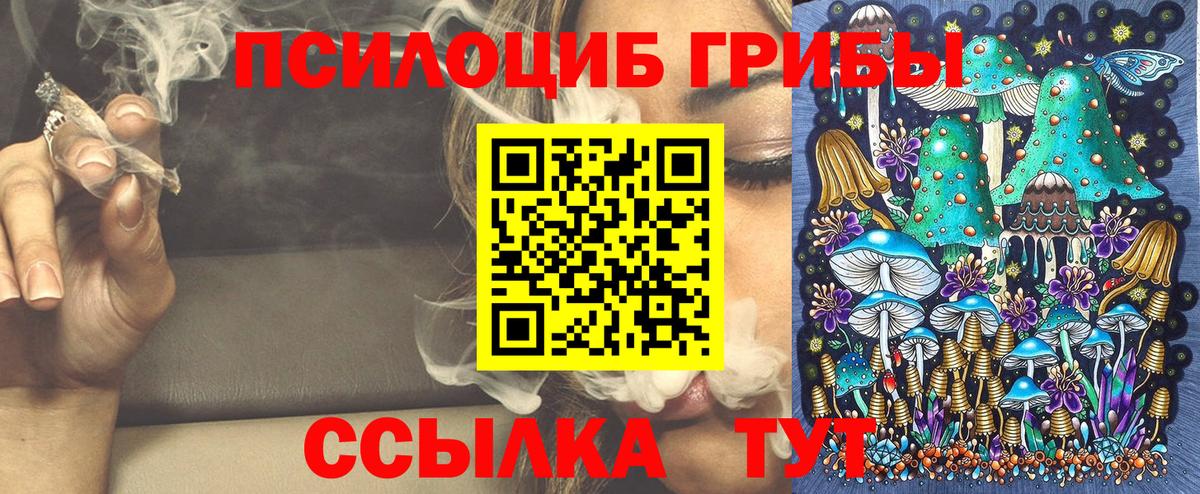 Галлюциногенные грибы MAGIC MUSHROOMS  Вход с VPN  Орехово-Зуево 